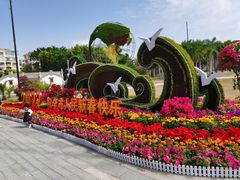 -华侨公园