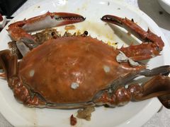 -赶海部落海鲜城(海阳路店)