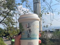 -茶颜悦色(岳麓山顶店)