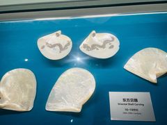 -青岛贝壳博物馆