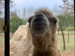 -杭州野生动物世界