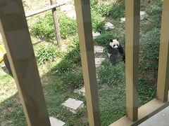 景点-大连森林动物园