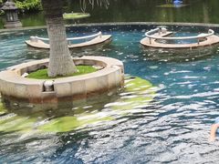 -厦门日月谷温泉渡假村