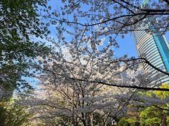 -陆家嘴中心绿地
