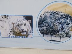 -青藏高原野生动物园