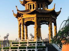 -东方巨龟苑景区