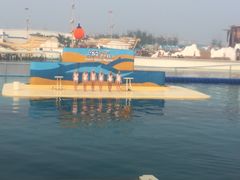 -秦皇岛乐岛海洋王国