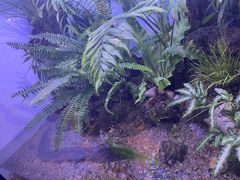 -上海海洋水族馆
