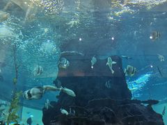 -鸿通城购物中心