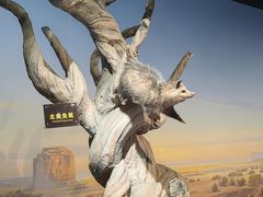 -陕西自然博物馆