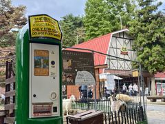 -神户市立六甲山牧场