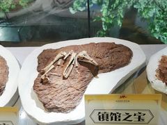 -河南自然博物馆