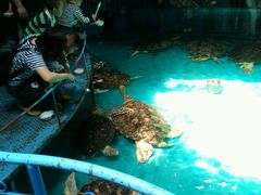 android_upload_pic-泉城欧乐堡海洋极地世界