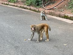 -黔灵山公园
