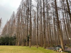 -上海怡沁园度假酒店