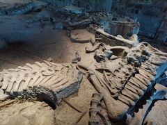 -自贡恐龙博物馆