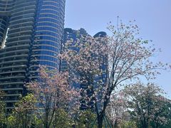 -洲头咀公园