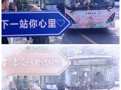 -高东镇樱花园
