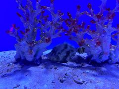 -常州海昌海洋探索馆