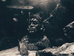 -暹罗海洋世界