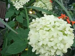 -春暖花开(西溪店)