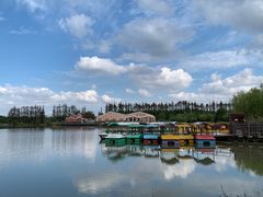 -上海长兴岛郊野公园