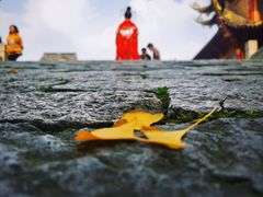 -龙潭水乡