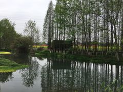 -桤木河湿地公园