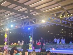 -渔家火锅·海鲜自助餐·演艺(亚龙湾天域酒店)