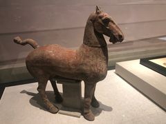 -陕西自然博物馆