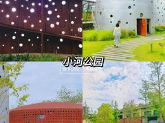 -杭州奥体中心-体育场