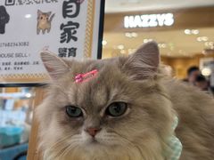 -汇德隆银隆