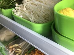 -蚝专家