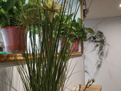 -咖啡人·融合餐厅(万达环宇店)