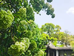 -惠山古镇·寄畅园