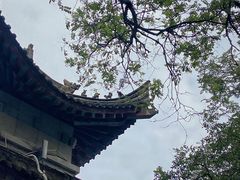 -大慈恩寺(大雁塔)