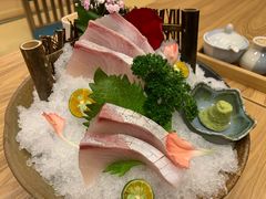 -一本钓鲔鱼屋