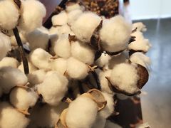 -柒厢食事雅谈