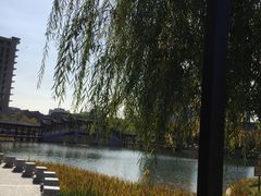 -西海子公园