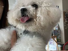 -立德动物医院·24小时中心(番禺区院区)