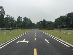 -仙湖旅游度假区