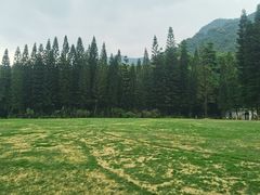 -深圳仙湖植物园