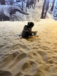 -恐龙探索乐园(磁器口店)