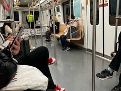 -杨高南路(地铁站)