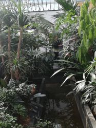 点击看大图 -特味村·宴会厅(生态园店)