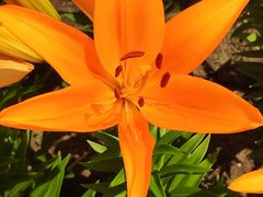 -长春公园(普阳街道)