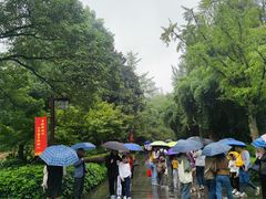 -邓小平故里