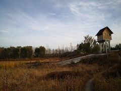 -东郊湿地公园