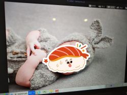 -西瓜庄园儿童摄影