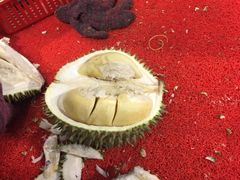 -都念榴莲·城市榴莲